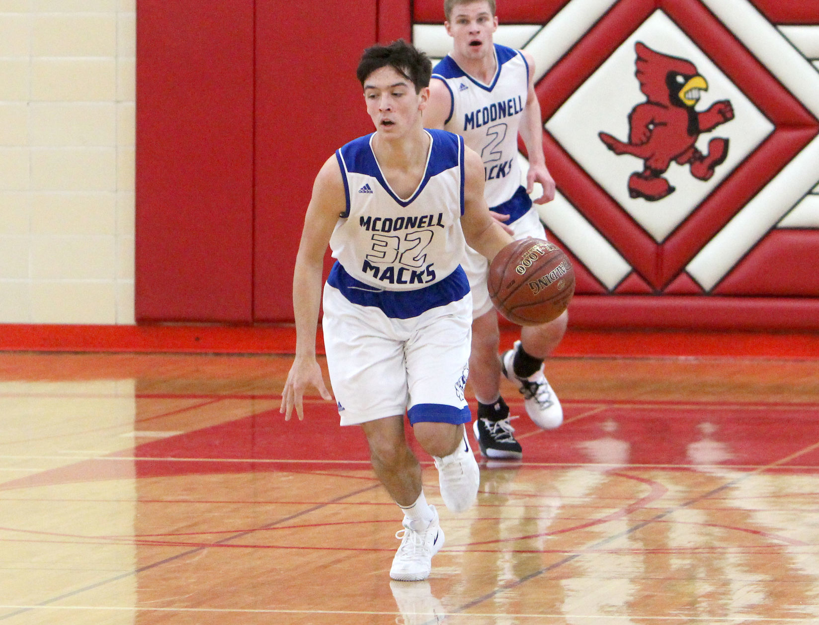 McDonell boys basketball vs Luck at Chi-Hi 3-9-19
